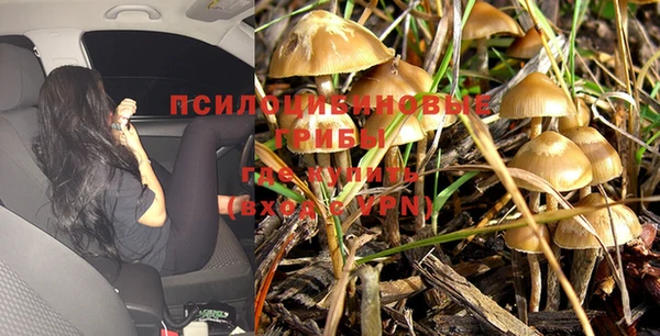 СК Аркадак