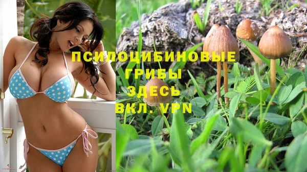 mdpv Арсеньев