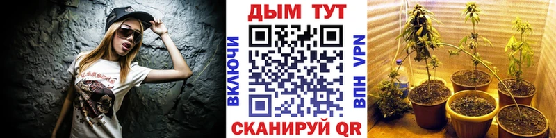 Купить  Боровичи  Каннабис OG Kush 